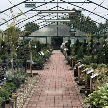 Marcum's Nursery - Nurseries & Gardening Near Me - Oklahoma City, Oklahoma Marcum's Nursery - Nurseries & Gardening Near Me - Oklahoma City, Oklahoma