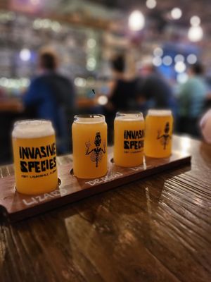 Invasive Species Brewing + Distilling by null