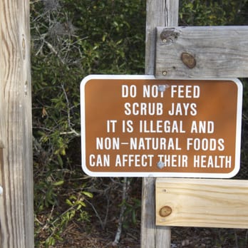 Brevard County - Please Don't Feed The Jays - Parks Near Me - Rockledge, Florida