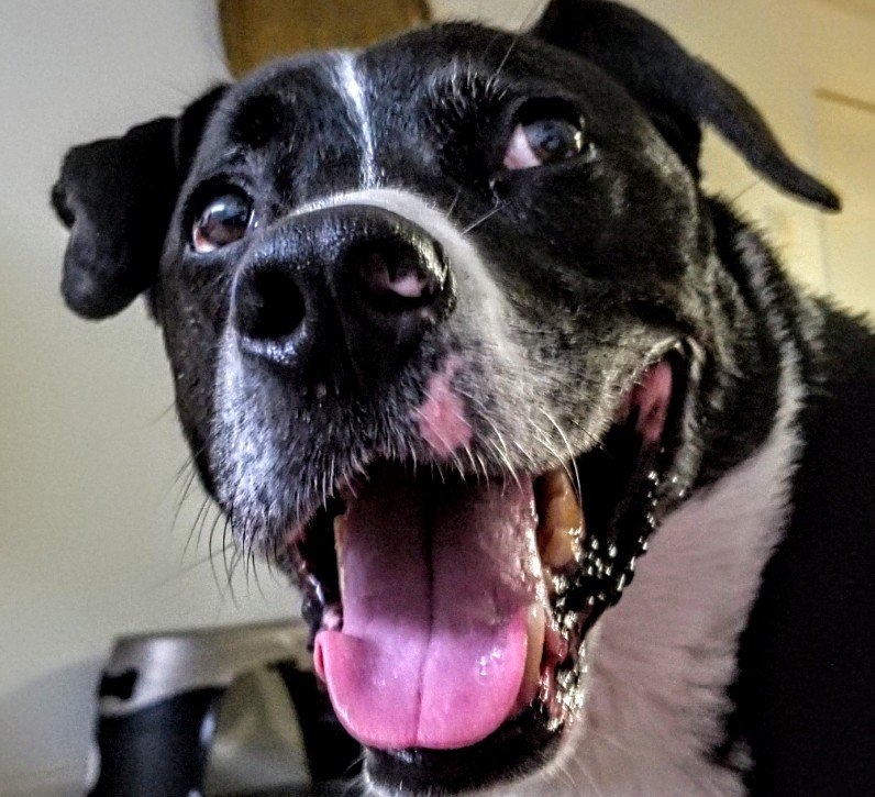 HASLET VETERINARY CLINIC Updated September 2024 14 Photos & 15