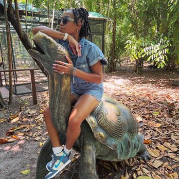 Jungle Island - Amusement Parks Near Me - Miami, Florida Jungle Island - Amusement Parks Near Me - Miami, Florida