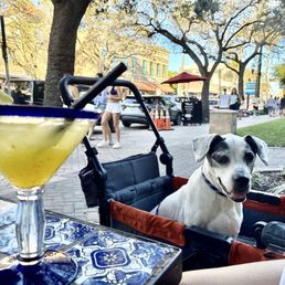 Passion fruit margarita