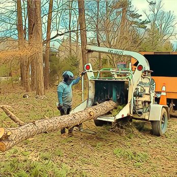 Nova Tree Care Inc. - The right equipment for the right job. Nova Tree Care - Tree Services Near Me - Concord, North Carolina Nova Tree Care Inc. - The right equipment for the right job. Nova Tree Care - Tree Services Near Me - Concord, North Carolina