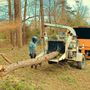 Nova Tree Care Inc.