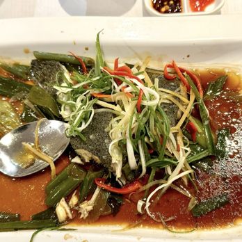 Golden Dragon - Steamed Turbot pieces with soya sauce - Dim Sum Near Me - London, XGL Golden Dragon - Steamed Turbot pieces with soya sauce - Dim Sum Near Me - London, XGL