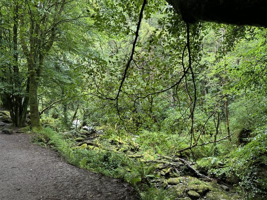 Torc Waterfall by null
