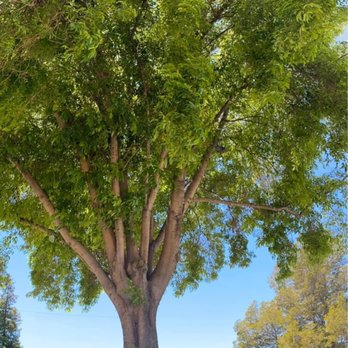 Via Toledo Park - Playgrounds Near Me - San Lorenzo, California
