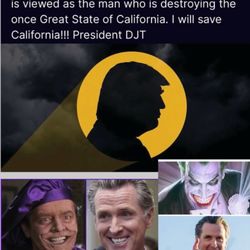 Alexander Technique La Jolla & Healing - Her support for trump
