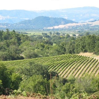 Thomas George Estates - View from Baker Ridge - Wineries Near Me - Healdsburg, California