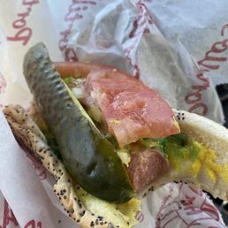 Chicago Dog
