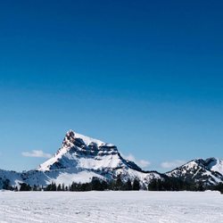 Alpine Adventures