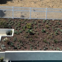 Smartscape Irrigation - "Old school" irrigation converted to microspray irrigation to save on water, and minimize the excessive overspray on our patio