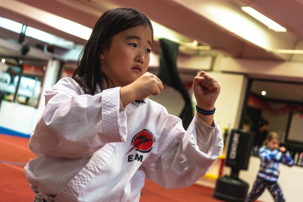 EXCEL MARTIAL ARTS Updated September 2024 19 Photos 11740 Broadway Street, Port Coquitlam