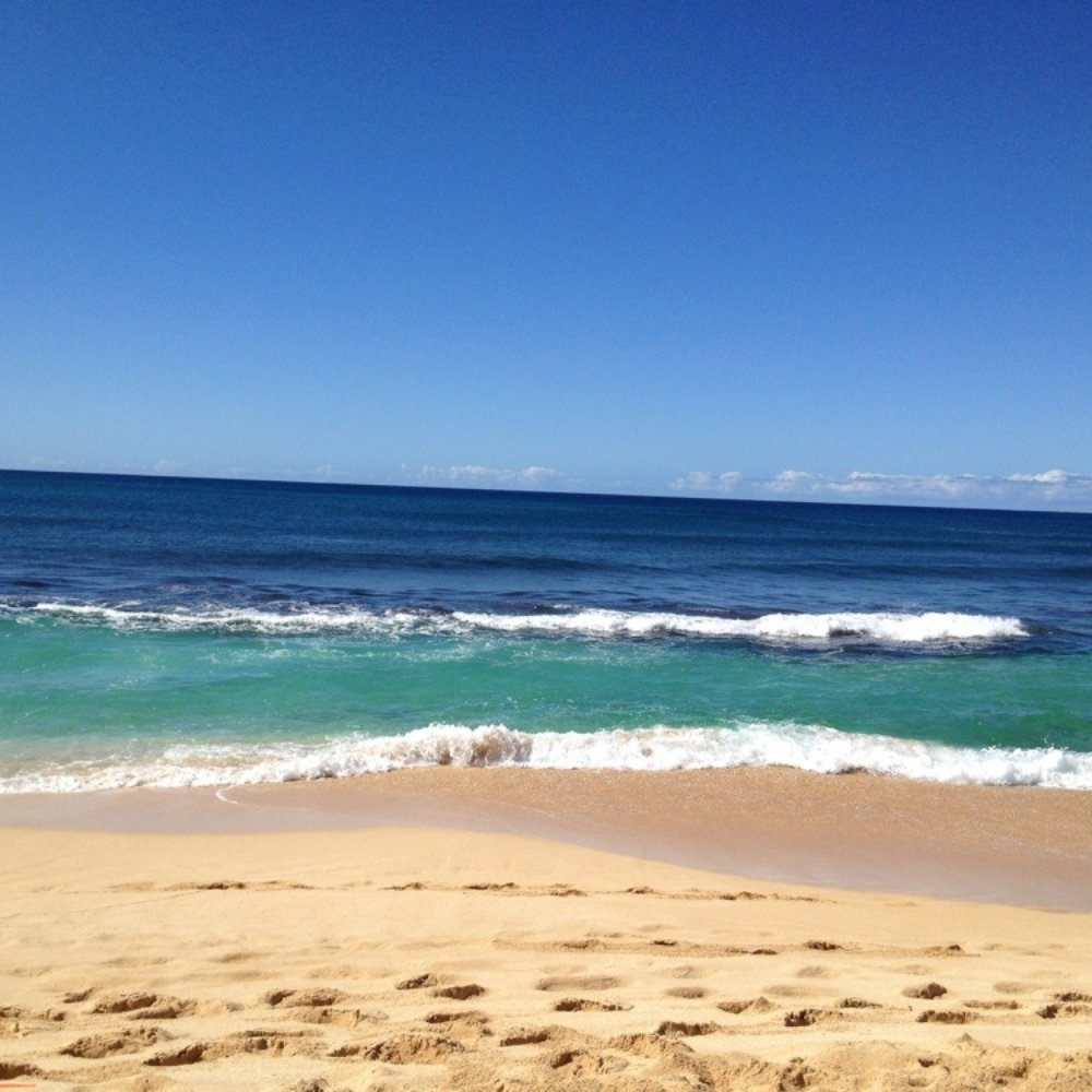 Ehukai Beach Park - Parks Near Me - Haleiwa, Hawaii Ehukai Beach Park - Parks Near Me - Haleiwa, Hawaii