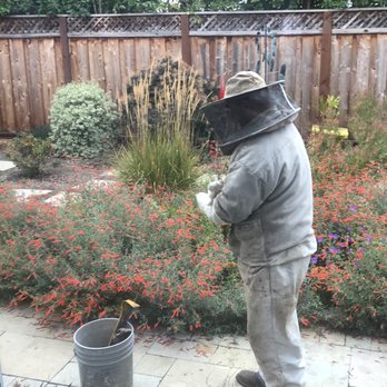 Beekeeper Nova - preparing to go in! - Pest Control Near Me