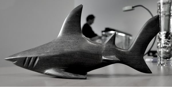 Shark Communications