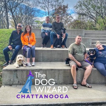 The Dog Wizard - Chattanooga - Pet Training Near Me - Chattanooga, Tennessee The Dog Wizard - Chattanooga - Pet Training Near Me - Chattanooga, Tennessee