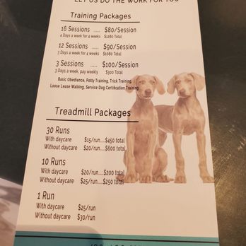 Furbabies Resort and Spa - Pet Groomers Near Me - Scottsdale, Arizona