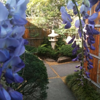 Adelaide-Himeji Garden - Parks Near Me - Adelaide, SA