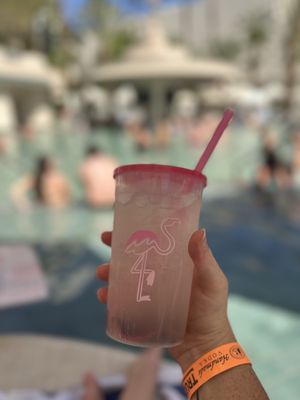 Flamingo Pool at Flamingo Las Vegas by null Flamingo Pool at Flamingo Las Vegas by null