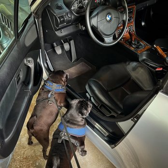 Bimmers R Us - My dogs are very interested in going for a ride sometime! - Auto Repair Near Me - St. Louis, Missouri