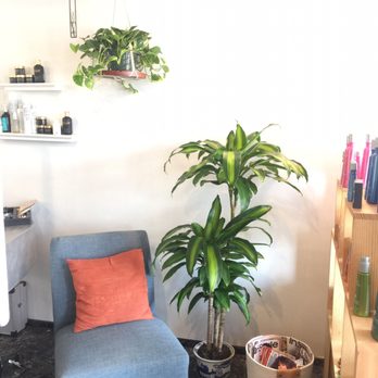 South Shore Studio - Hair Salons Near Me - Kihei, Hawaii South Shore Studio - Hair Salons Near Me - Kihei, Hawaii