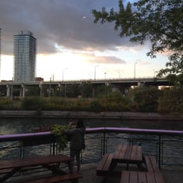 The view The view