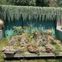 Photo of The Fountain Garden