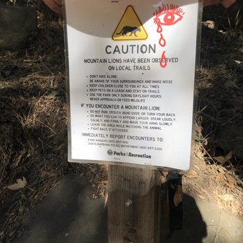 Rattlesnake Canyon - Watch out for mountain lions. - Hiking Near Me - Santa Barbara, California Rattlesnake Canyon - Watch out for mountain lions. - Hiking Near Me - Santa Barbara, California