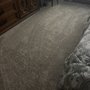 Dolphin Carpet & Tile