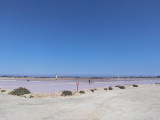 Saline Ettore e Infersa by null