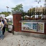 Photo of The Somerville Flea
