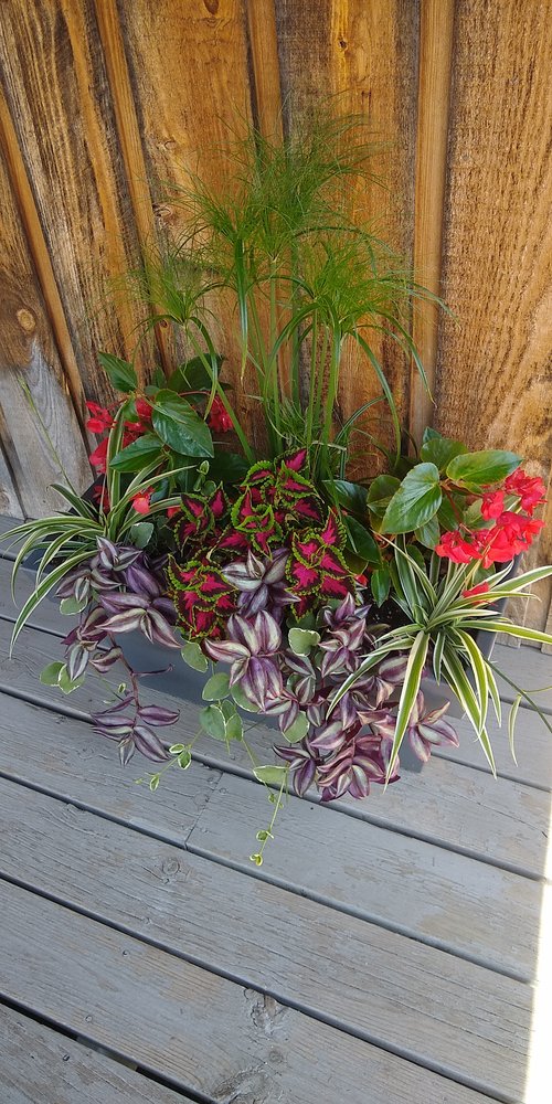 RAINTREE GARDEN CENTER Updated October 2024 7470 20th Ave, Eau