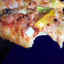 Lake Side Pizza & Indian Cuisine