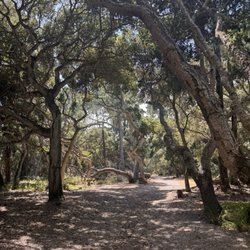 Lynn Rip Van Winkle Open Space