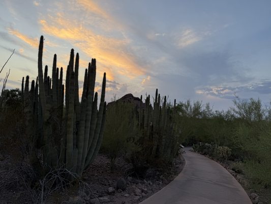 Papago Park by null