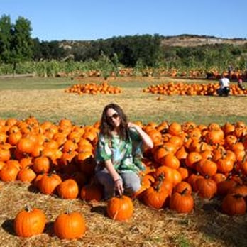 Bates Nut Farm - Specialty Food Near Me - Valley Center, California