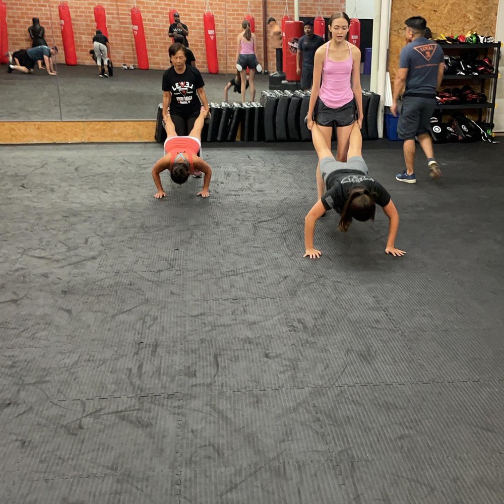 Level 6 Krav Maga Logo