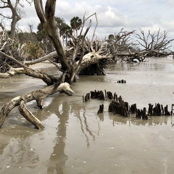 Botany Bay Plantation - Parks Near Me - Edisto Island, South Carolina