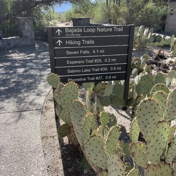 Sabino Canyon - Trails - Parks Near Me - Tucson, Arizona Sabino Canyon - Trails - Parks Near Me - Tucson, Arizona