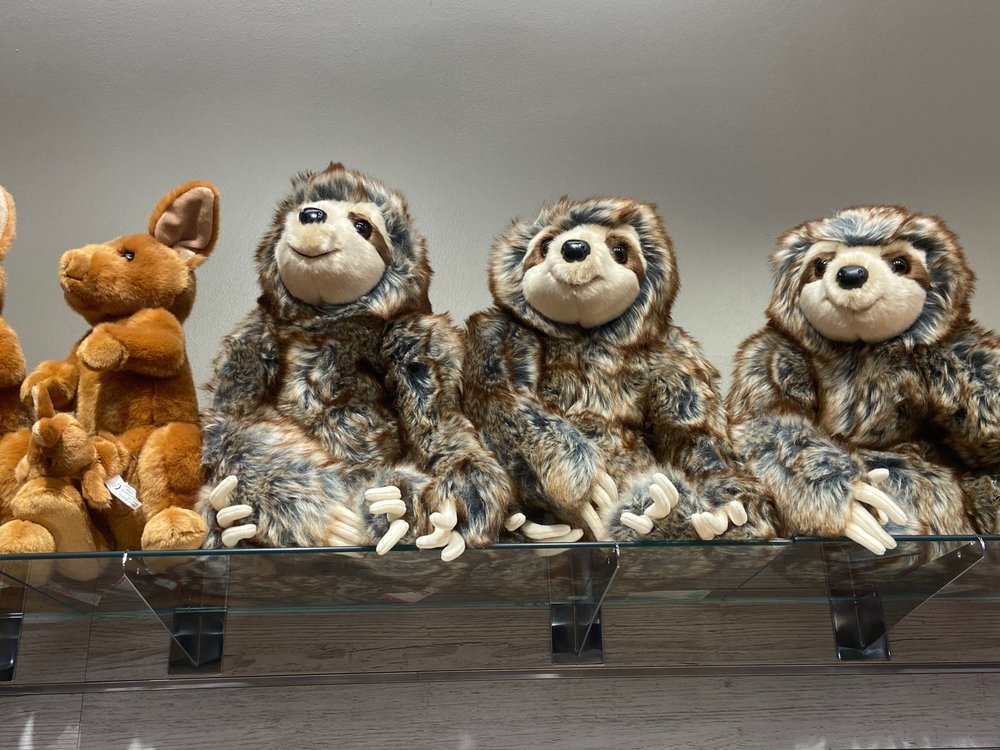 KINOKUNIYA BOOKSTORE ATLANTA 48 Photos & 13 Reviews 10820 Abbotts