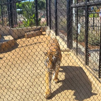 America's Teaching Zoo - Zoos Near Me - Moorpark, California