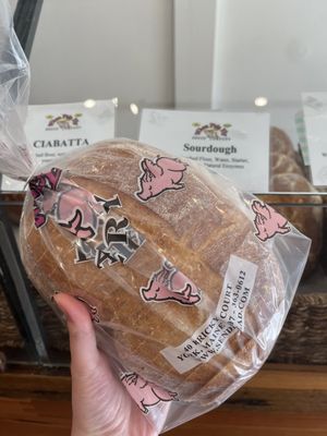 When Pigs Fly Breads by null