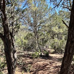Ojito de San Antonio Open Space