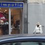 Photo of Simpatia