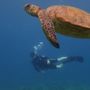 Photo of Banyan Tree Divers Maui