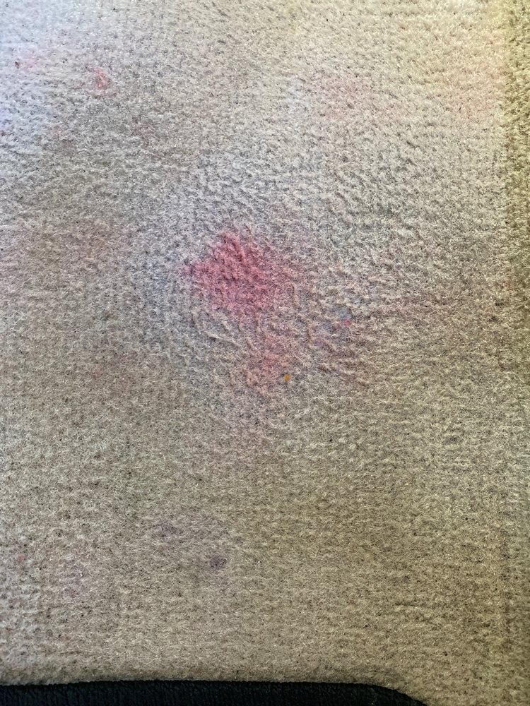 CLEAN RITE JANITORIAL SERVICE Updated August 2024 227 San Pesro Dr