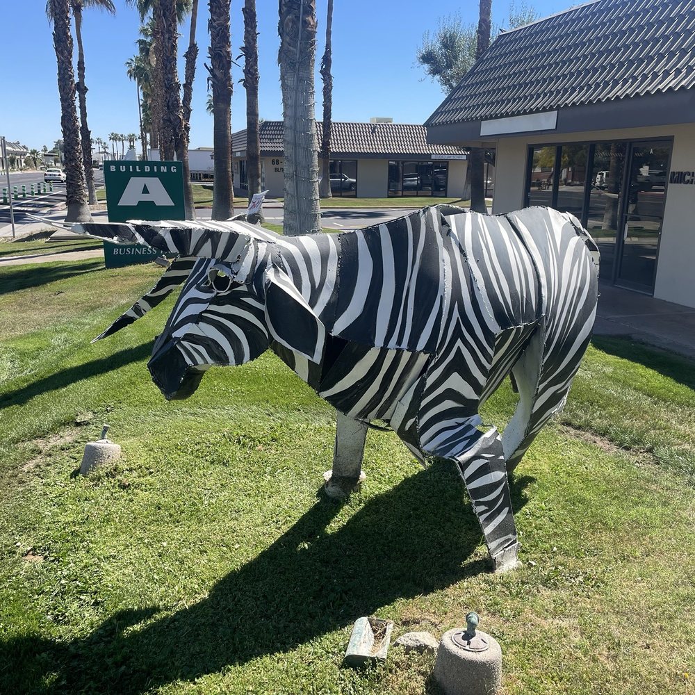 The bull.... I mean zebra. The bull.... I mean zebra.