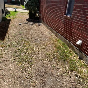 Chorbie - Its late spring and you can see the grass is dead on side of house as well. All will need to be replace - Lawn Services Near Me - Frisco, Texas