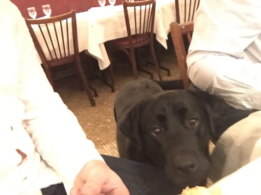 Chez Georges by null